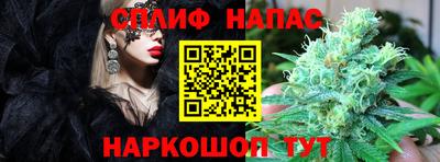 СК Ливны